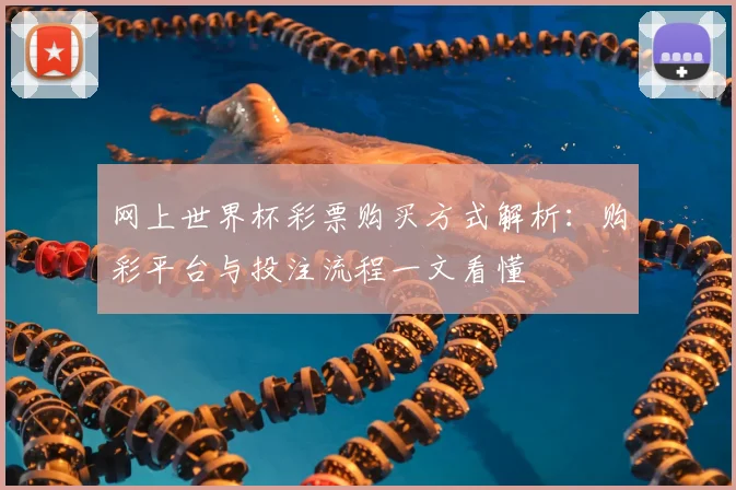 网上世界杯彩票购买方式解析：购彩平台与投注流程一文看懂